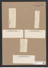 Navicula sp. (de-Toni-Nr.: Genus 1) Zeichnungen Sammlung Grunow Nr. 1607 (NHMW-BOT-W0368158)